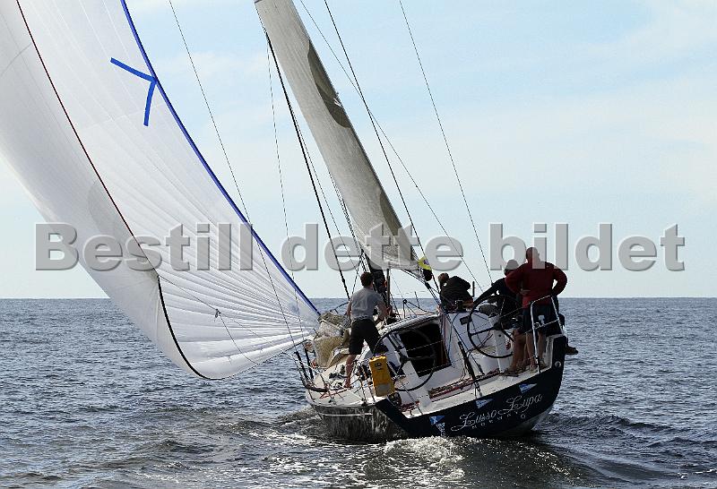 ORCi2 264.jpg